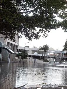 Queensland flood fundraising efforts