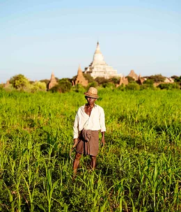 Burmese days