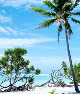 Island time