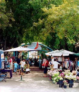 Tropical market daze