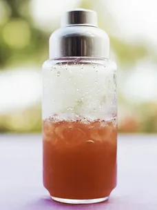 Rum-Cranberry Fizz