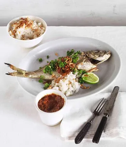 Roast bream with sambal and coconut rice