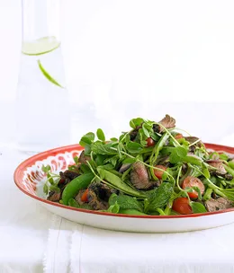 Mint and chilli beef salad