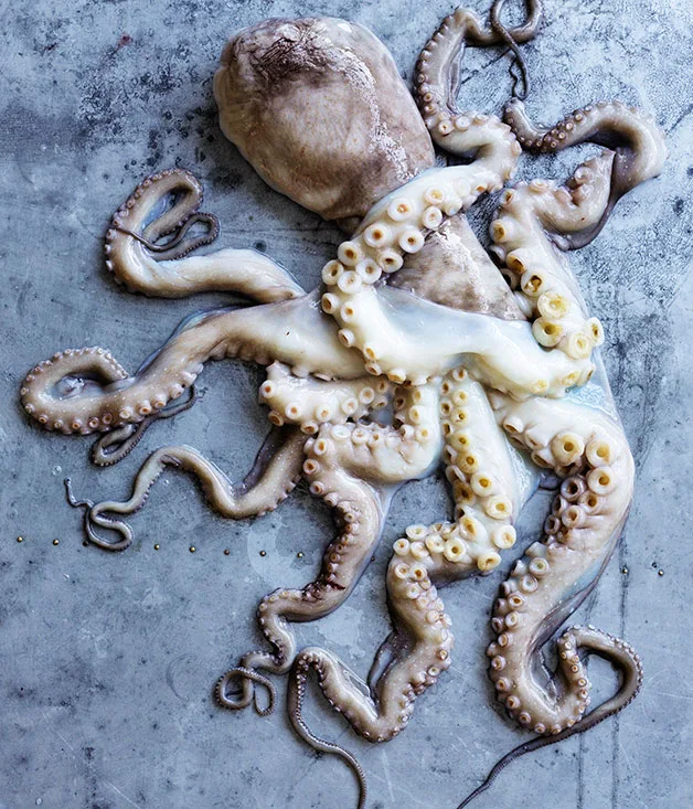 Pickled octopus