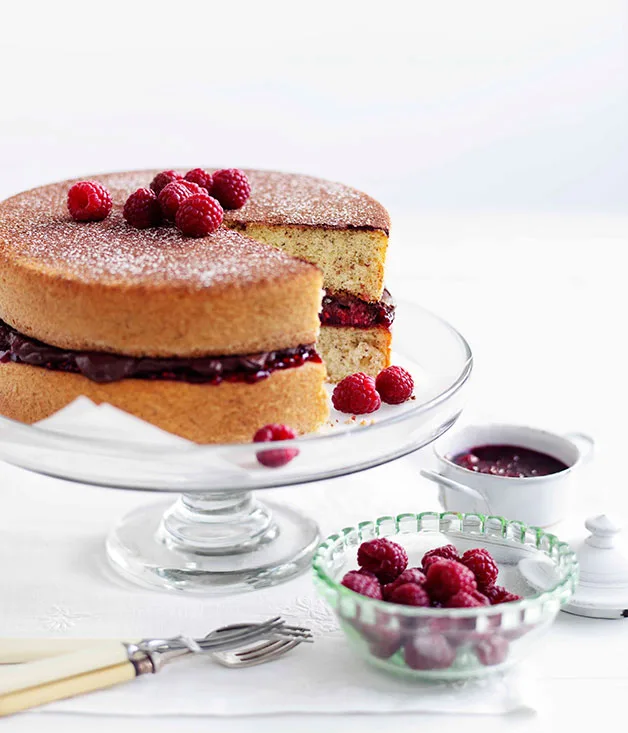 Hazelnut sponge with chocolate-raspberry cream