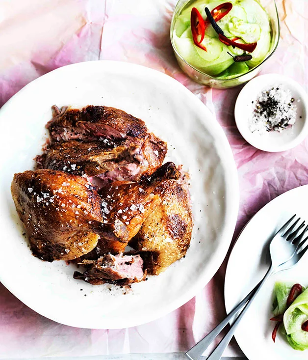 Golden duck with cold pickled melon and cucumber