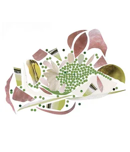 Peas and pink grapefruit with white almonds