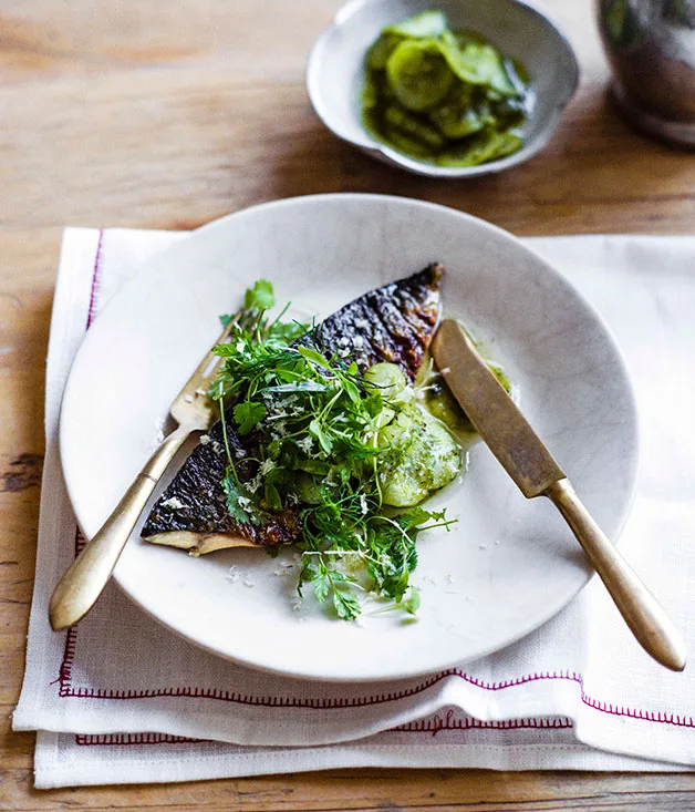 Mackerel with pickled cucumber, horseradish and herbs