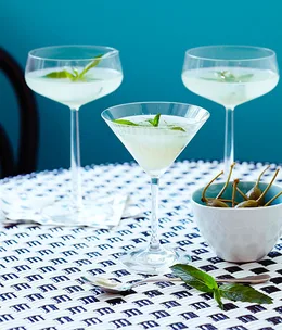 The Gin Garden’s Southside