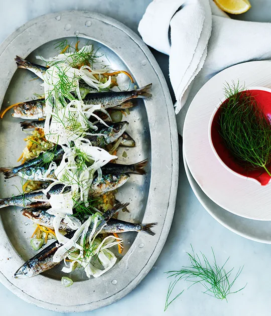Sardines with Fennel and Orange (French Seafood) Recipe