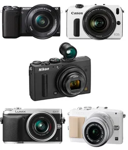 In the bag: cameras