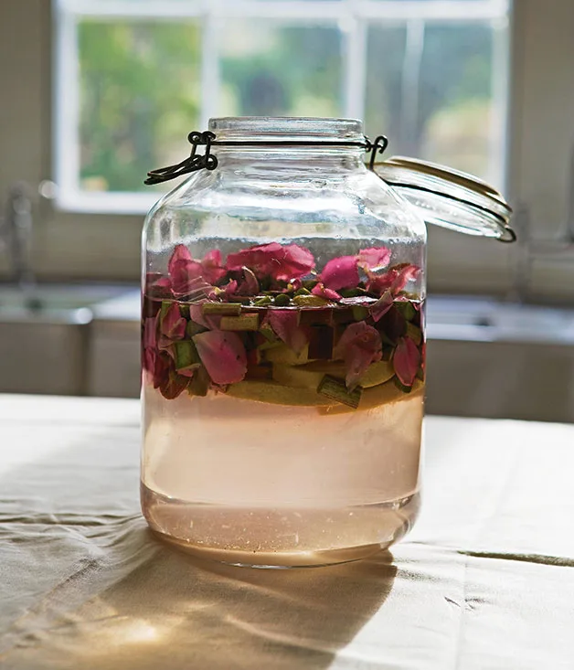 Rhubarb and rose fizz