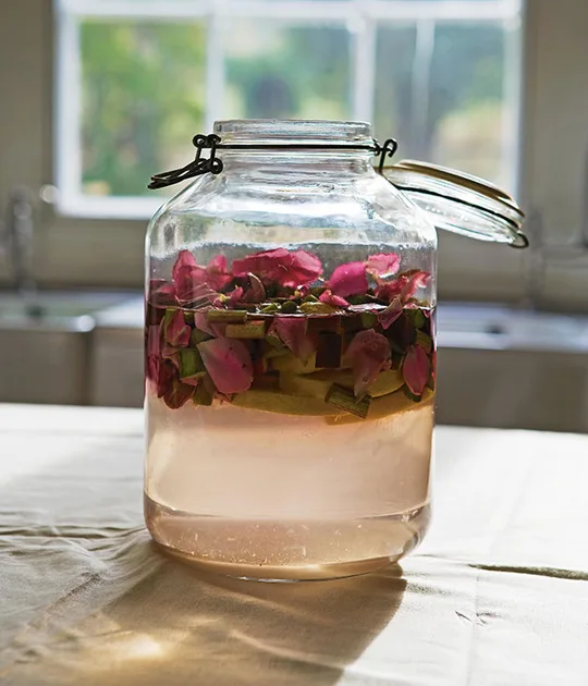 Rhubarb and Rose Fizz Recipe by The Agrarian Kitchen