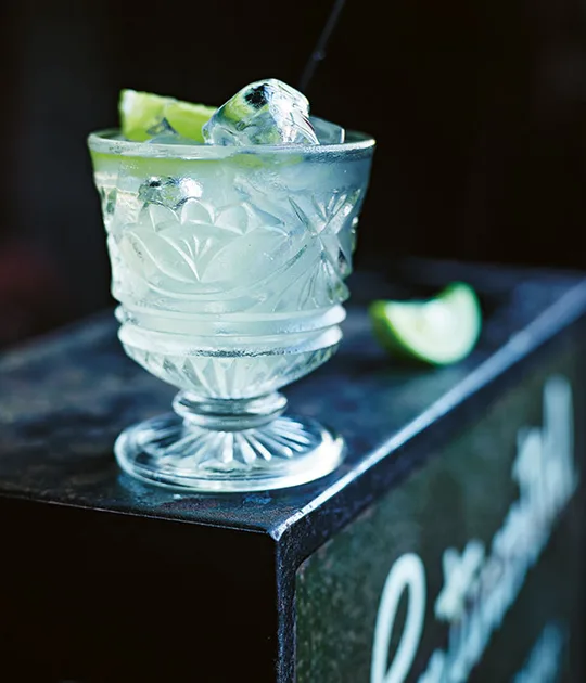 Andalusian Buck recipe | Cocktail recipe | Gourmet Traveller