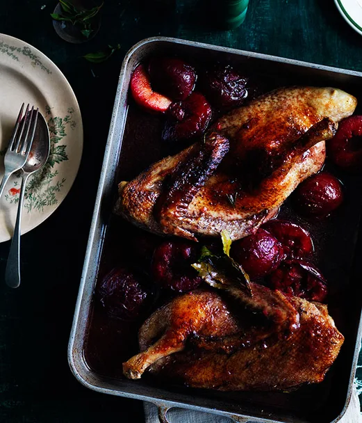 Duck roasted in Lambrusco with blood plums and bay