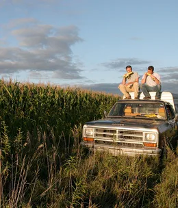 Harvest at GOMA, Brisbane