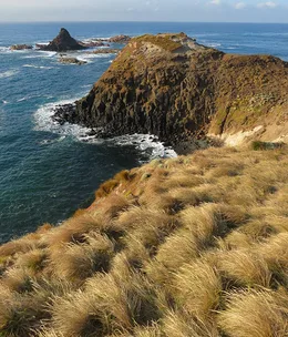Top daytrips from Melbourne