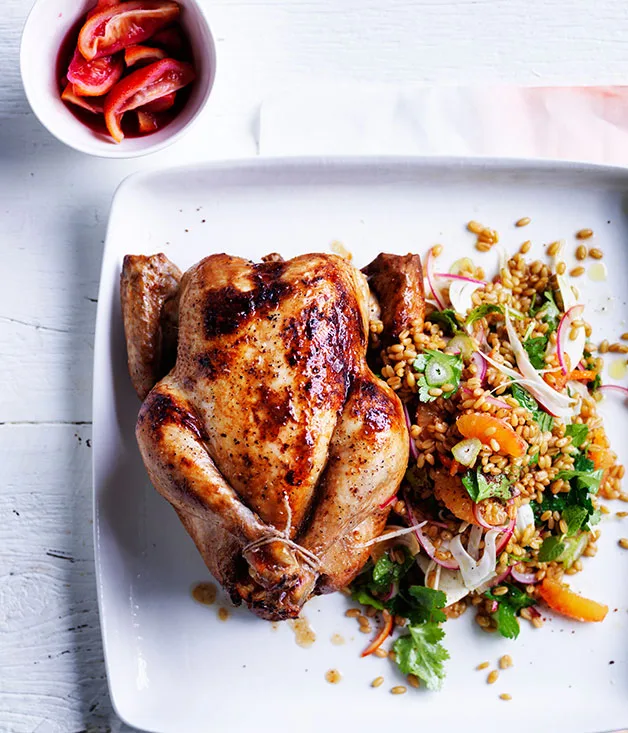 Orange-brined chicken with freekeh, blood orange and fennel salad