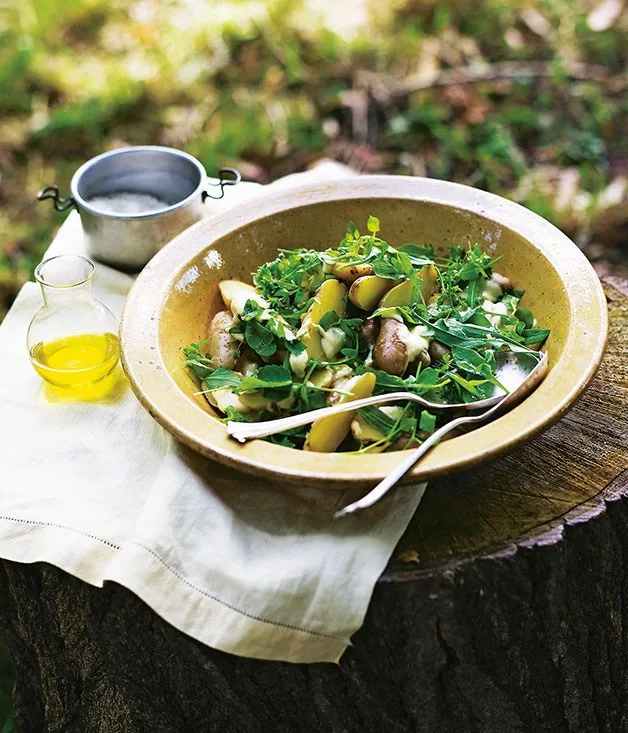 Potato and wild green salad with anchovy dressing