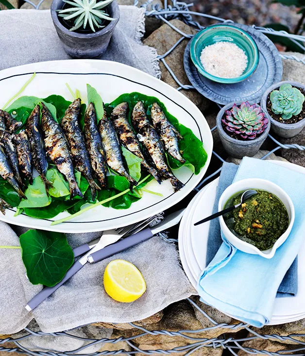 Grilled sardines with nasturtiums and rosemary tarator