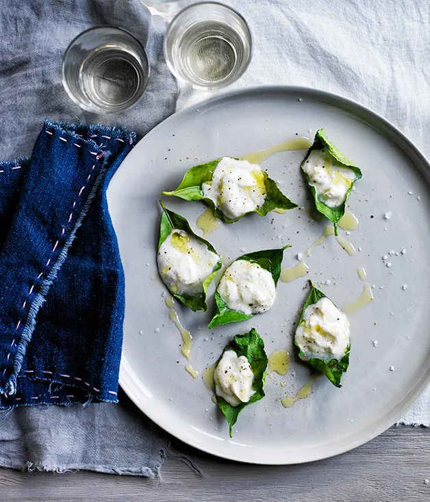 Stracciatella grilled on lemon leaves