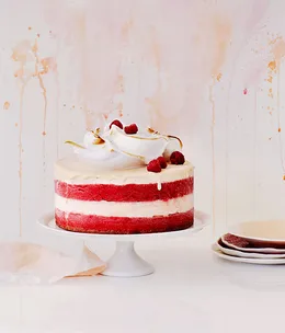 Peach frozen yoghurt and berry sorbet layer cake