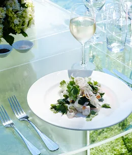 Snapper ceviche, baby fennel and blood orange