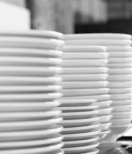 Classic brined roast turkey