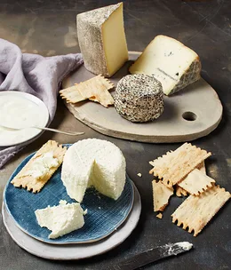 Pecora Dairy