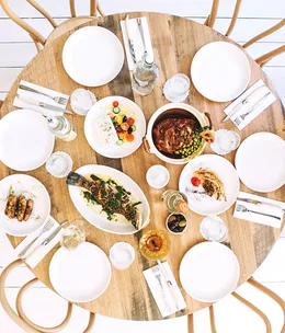 Olea, Adelaide
