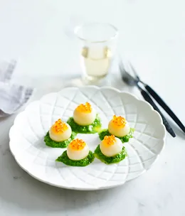 Turnip and brook trout roe