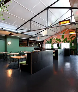 Stray Neighbour, Preston