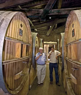 Alternative Bordeaux wines