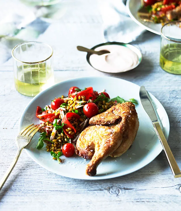 Spatchcock, freekeh, pickled tomatoes and harissa yoghurt