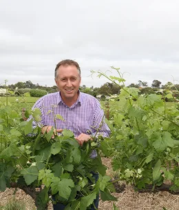Alternative wines from South Australia’s Riverland