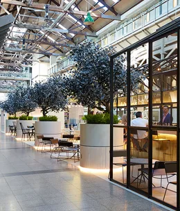 Ovolo Hotels open in Woolloomooloo and Darling Harbour