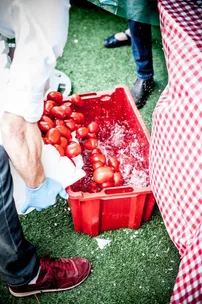 The Melbourne Tomato Festival 2016