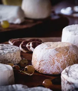 What not to miss at the Melbourne Food and Wine Festival 2016
