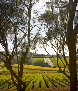 20 things to do this autumn