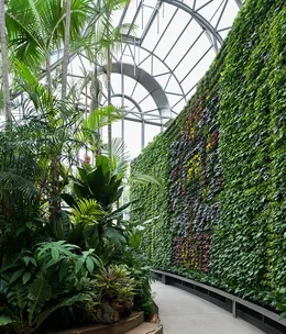 The Royal Botanic Gardens opens the Calyx