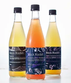 What is kombucha?