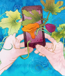 From paddock to plate: Australia’s produce on Instagram