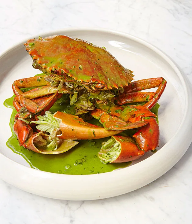 First look: Cirrus, Sydney