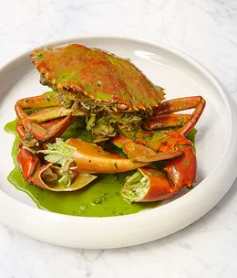 First look: Cirrus, Sydney
