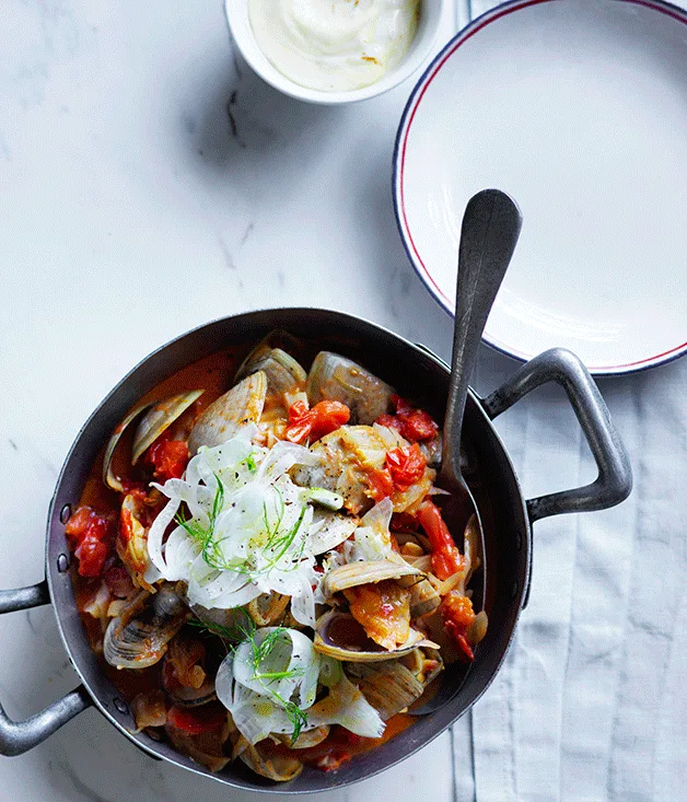 Tomato and fennel clams with saffron mayonnaise