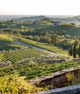 A drive through Friuli
