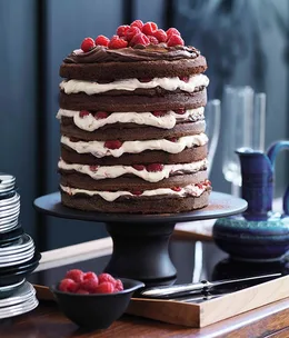 Double chocolate recipes