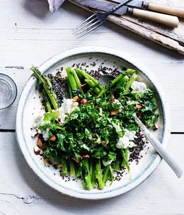 Light and healthy recipes