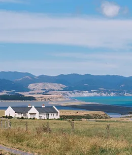 What to eat, drink and do in Auckland, Wellington and surrounds