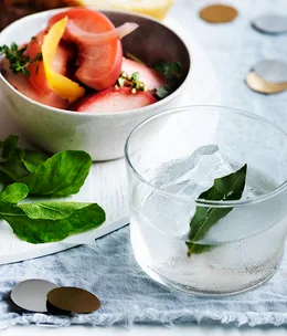 The Sabino cocktail
